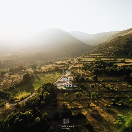Tenuta Bianca Agriresort Sanza Dış mekan fotoğraf