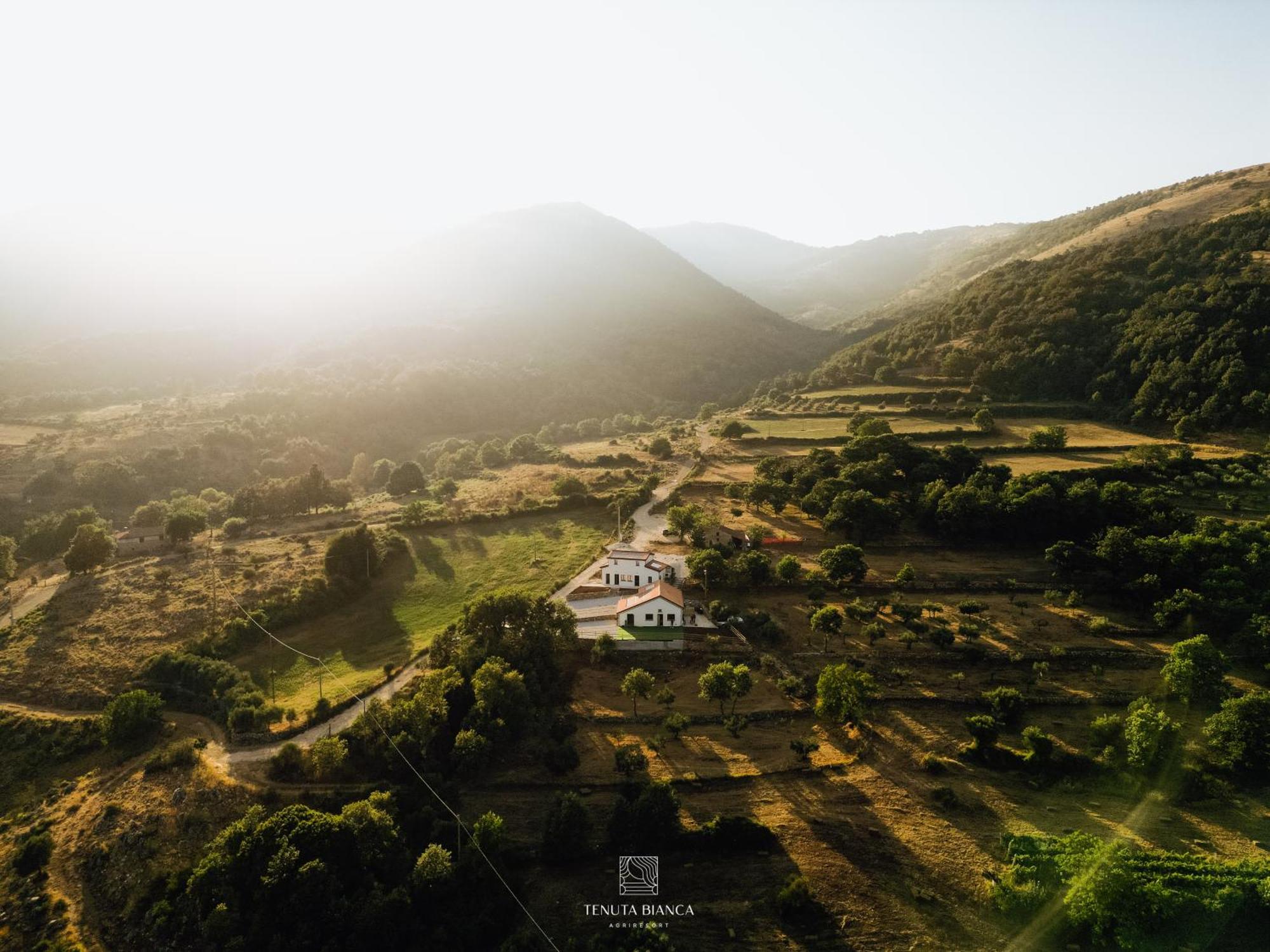 Tenuta Bianca Agriresort Sanza Dış mekan fotoğraf